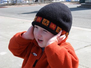 1521806273_3662570729_z