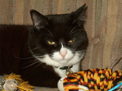 113532111_8479d80294_m