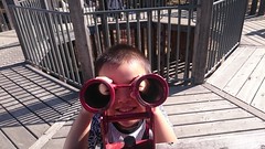 16694129500_90ff25d71d_m