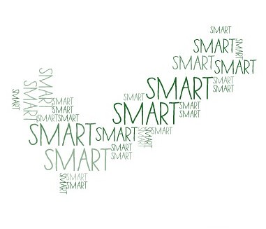 10688617385_ce1214d44d_w (1)